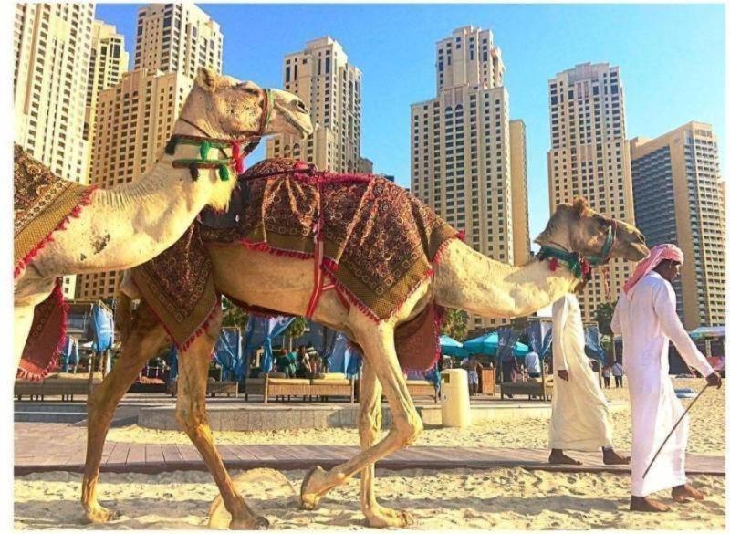 Luxury Apartments In Dubai Marina Εξωτερικό φωτογραφία